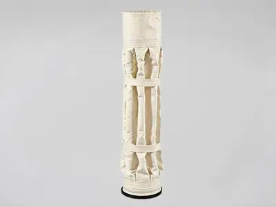 PPS Pleated Coated Filter Bags
