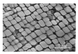 Typical Morphology of γ' Phase of Heat-treated DZ411 Blade