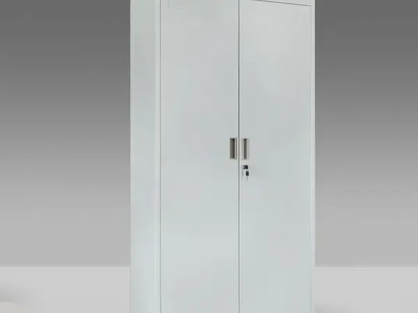 Steel Locker With 2 Doors