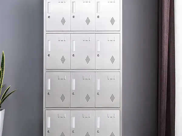 Stainless_Steel_12_Locker_Cabinet-LAKSHYO04